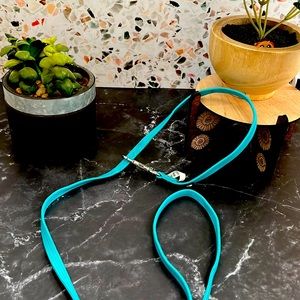 A small blue Leash